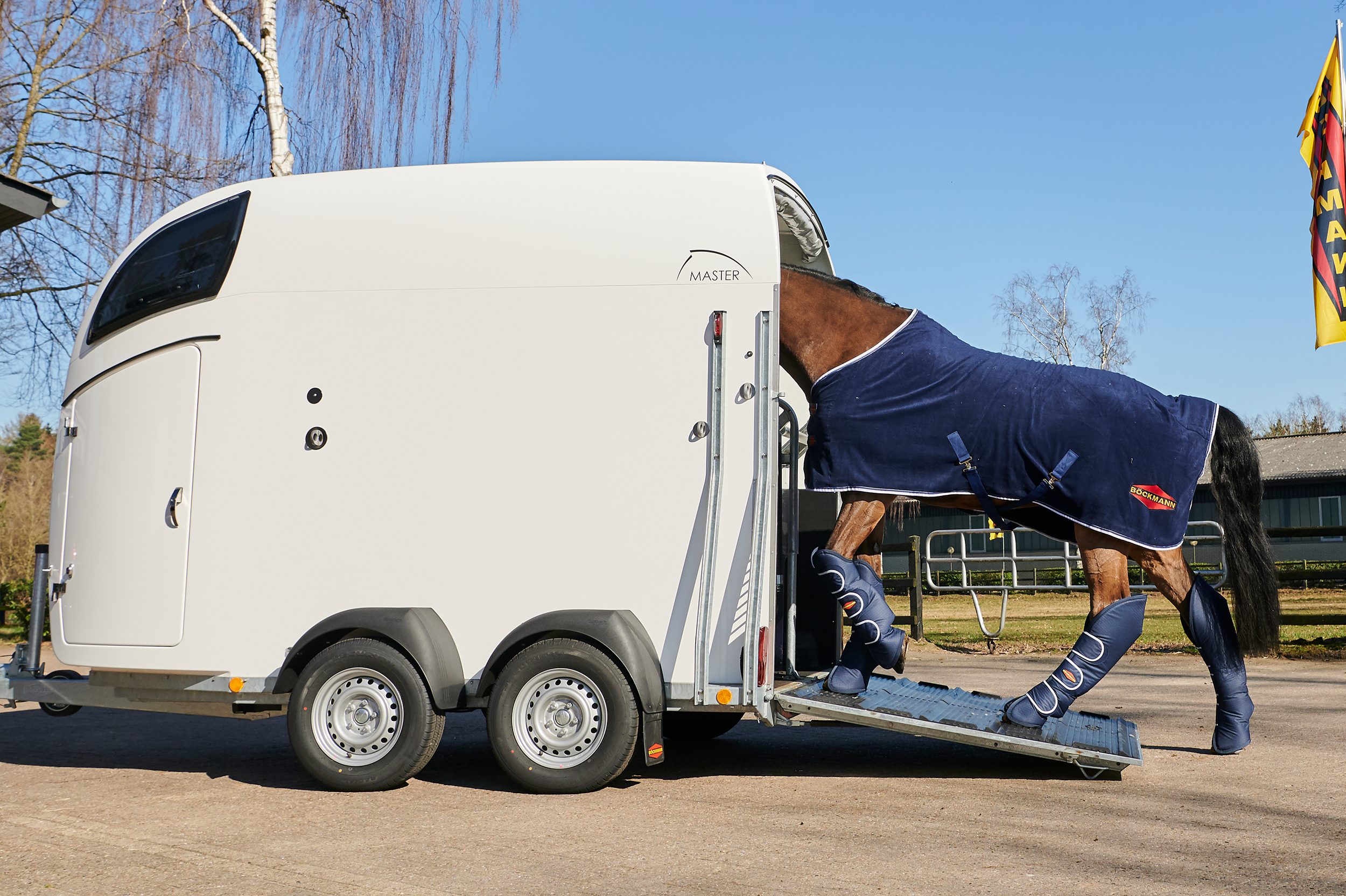 Surichinmoi uformel ventil Böckmann Fahrzeugwerke | Horse trailers