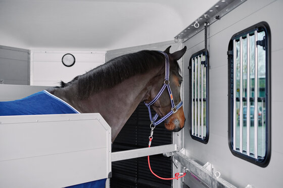 Böckmann Mehrwerte Pferdeanhänger Traveller - Bequemer Stand