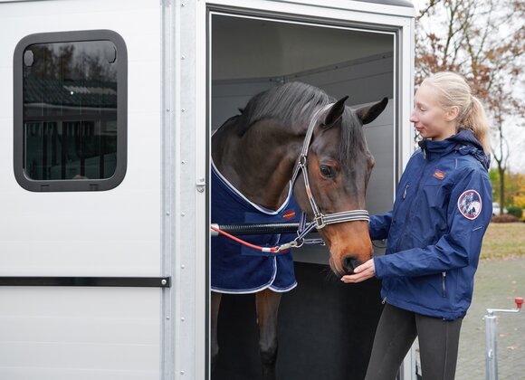 Böckmann Mehrwerte Pferdeanhänger Traveller - Schneller Zugang zum Pferderaum