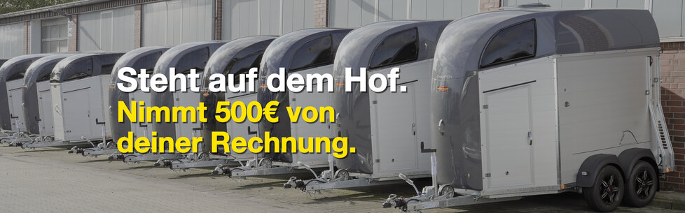 Headerbild für die Aktionsseite der Cashback Aktion von Böckmann. 