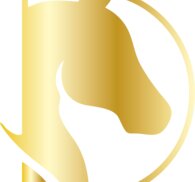 Logo Al Shira'aa Derby Hamburg 2025